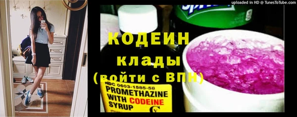 apvp Кукмор