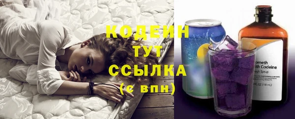 apvp Кукмор